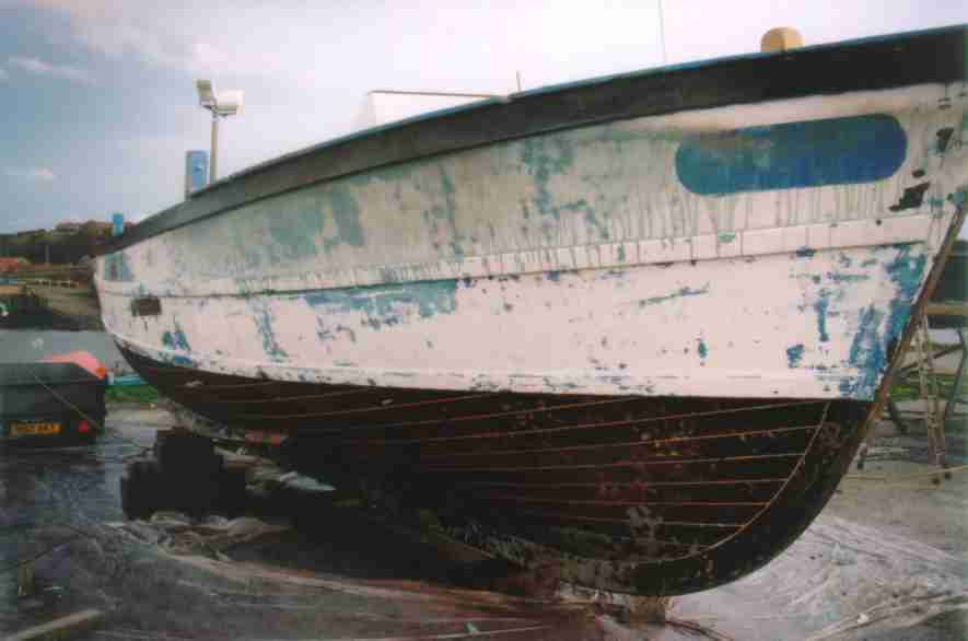 CLICK for more information